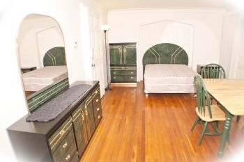 dp8181 profile photo