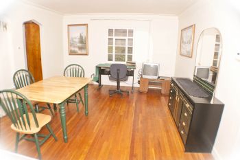 dp8181 profile photo