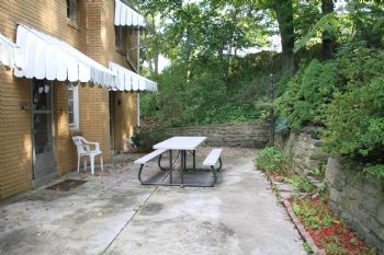 dp8181 profile photo