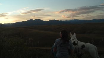 Ally1316 profile photo