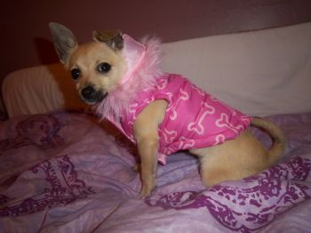 Ashleyjoe18 profile photo