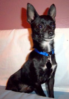 Ashleyjoe18 profile photo