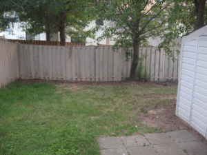 Hazel_Ra profile photo