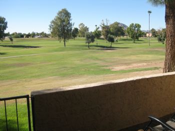 Meetz11 profile photo