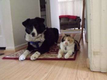 peprmintpati profile photo