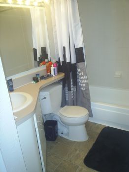 acidburn2987 profile photo