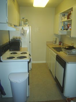 acidburn2987 profile photo