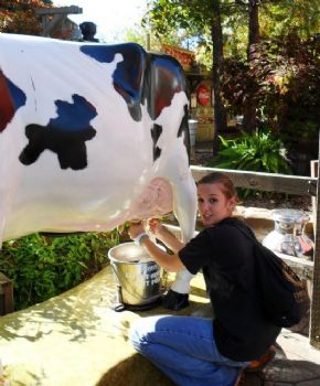 Stepnanie profile photo