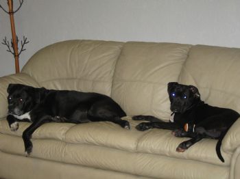 Vaness66 profile photo