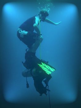 sirsam profile photo