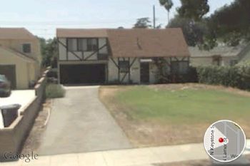 femcheetah profile photo