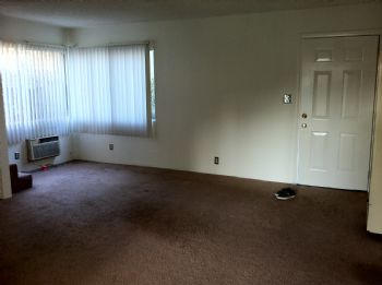 femcheetah profile photo