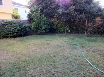 femcheetah profile photo