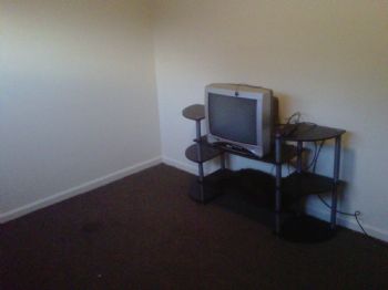 b_beevers profile photo