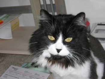 CanteronaTB profile photo