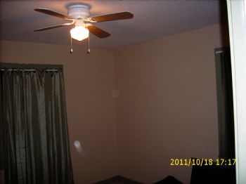 gooddolphins profile photo