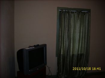 gooddolphins profile photo