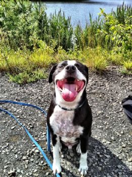 ckrajewski profile photo