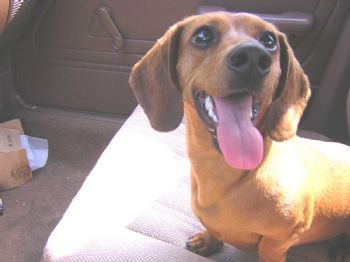 kmidge211 profile photo