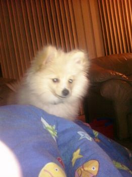 abranson profile photo