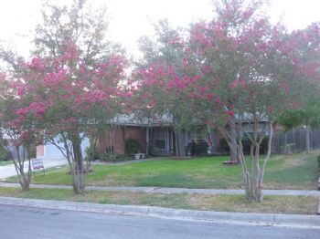 TR4Willis profile photo