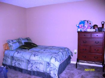 ROBINSNEST profile photo