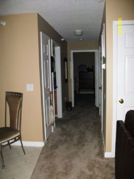 ROBINSNEST profile photo