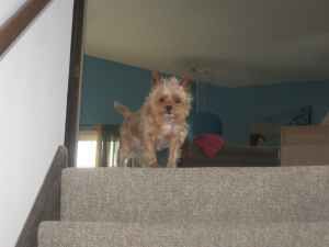 Mary13 profile photo