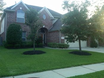 judpey2 profile photo