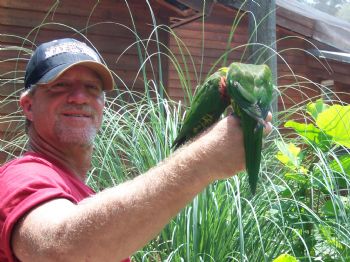 tingod profile photo