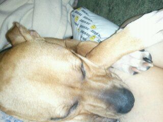 mimi4292 profile photo