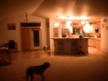 rollin60 profile photo