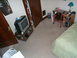 ggrayden profile photo