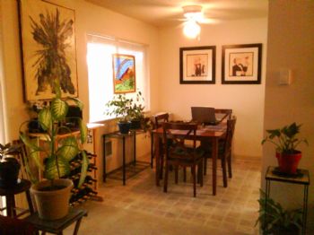 All2kool profile photo