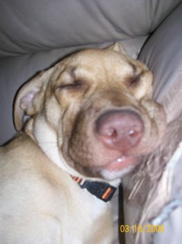meg82 profile photo