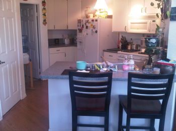 reybear profile photo