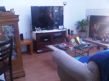 reybear profile photo