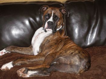 aubraalexand profile photo