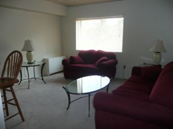 laurafe profile photo