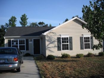 dolphinring profile photo