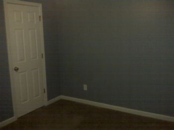 dolphinring profile photo