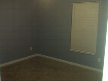 dolphinring profile photo