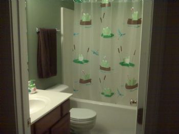 dolphinring profile photo