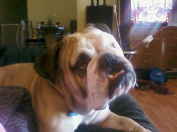 emanator7000 profile photo