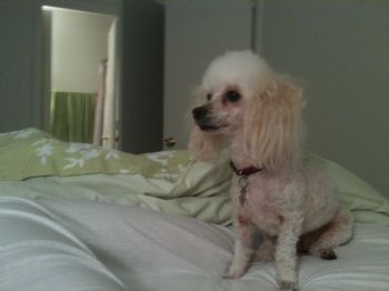 ashlvern profile photo