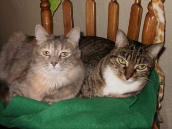 Morgantaylor profile photo