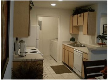 POlive profile photo