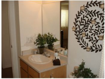 POlive profile photo