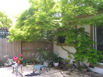 14Denver profile photo