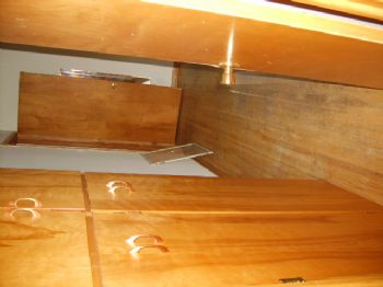 molitort3581 profile photo